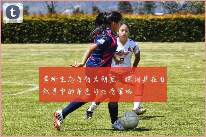 黄蜂生态与行为研究：探讨其在自然界中的角色与生存策略