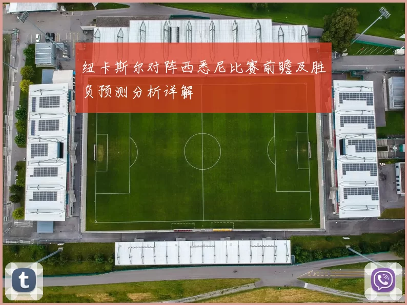 纽卡斯尔对阵西悉尼比赛前瞻及胜负预测分析详解