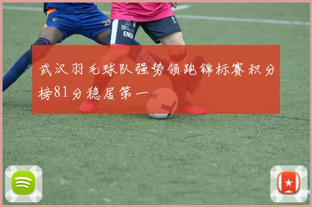 武汉羽毛球队强势领跑锦标赛积分榜81分稳居第一