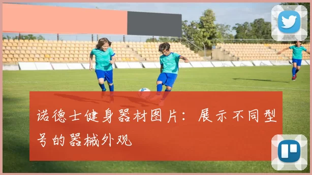 诺德士健身器材图片：展示不同型号的器械外观