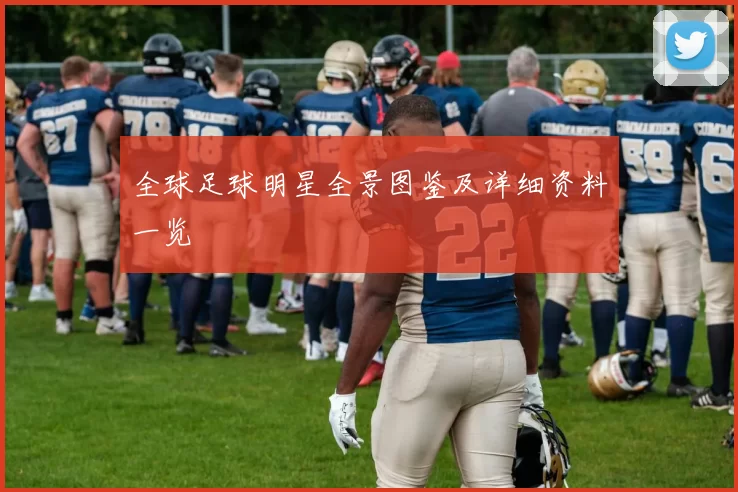 全球足球明星全景图鉴及详细资料一览
