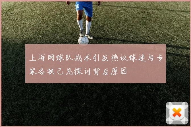上海网球队战术引发热议球迷与专家各执己见探讨背后原因