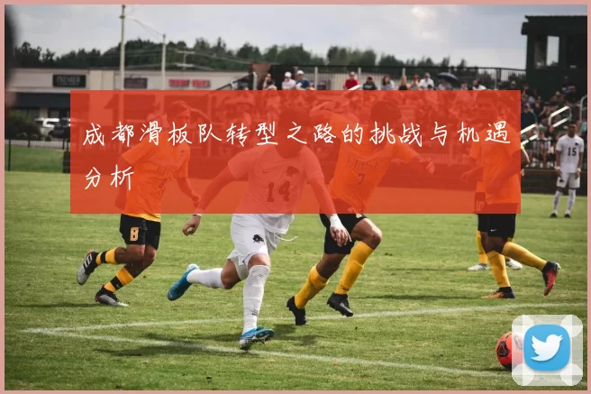 成都滑板队转型之路的挑战与机遇分析