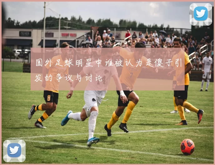 国外足球明星中谁被认为是傻子引发的争议与讨论