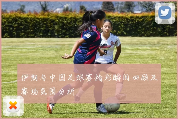 伊朗与中国足球赛精彩瞬间回顾及赛场氛围分析