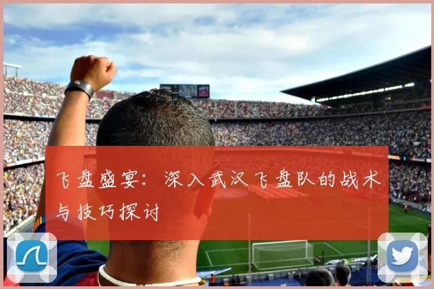 飞盘盛宴：深入武汉飞盘队的战术与技巧探讨