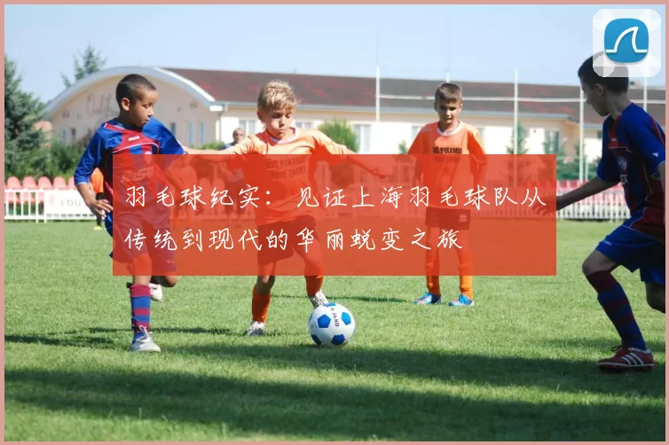 羽毛球纪实：见证上海羽毛球队从传统到现代的华丽蜕变之旅