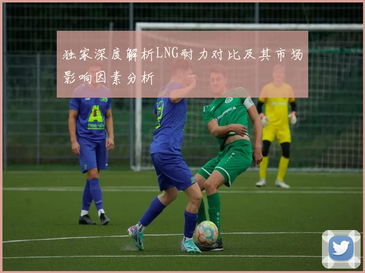 独家深度解析LNG耐力对比及其市场影响因素分析