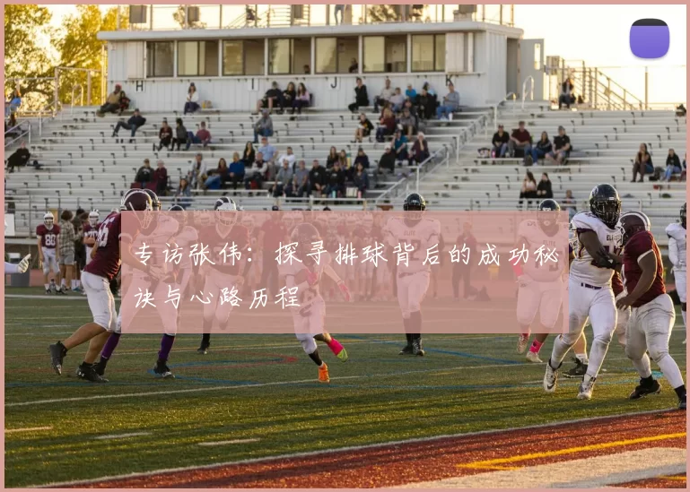 专访张伟：探寻排球背后的成功秘诀与心路历程