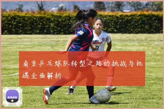 南京乒乓球队转型之路的挑战与机遇全面解析