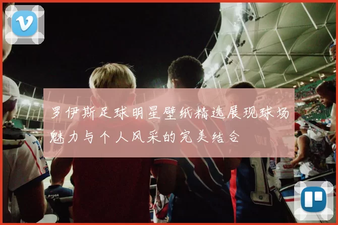 罗伊斯足球明星壁纸精选展现球场魅力与个人风采的完美结合