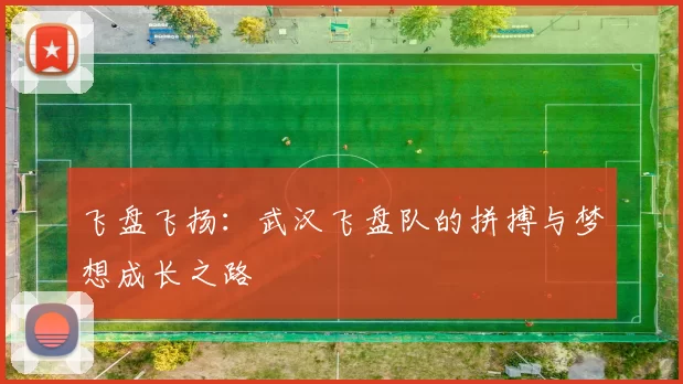 飞盘飞扬：武汉飞盘队的拼搏与梦想成长之路