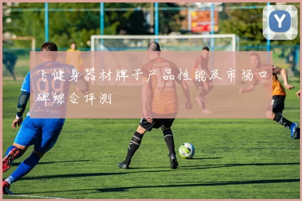 飞健身器材牌子产品性能及市场口碑综合评测