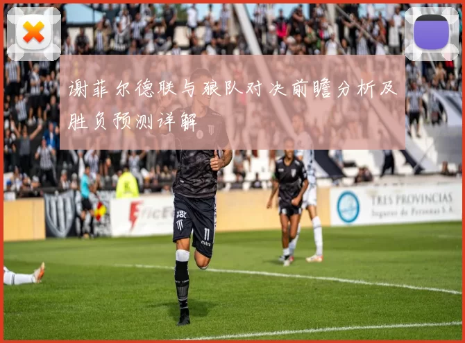 谢菲尔德联与狼队对决前瞻分析及胜负预测详解