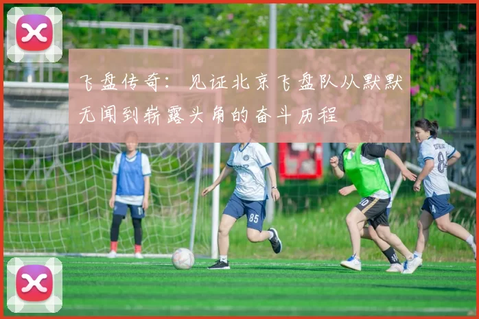 飞盘传奇：见证北京飞盘队从默默无闻到崭露头角的奋斗历程
