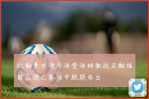 比勒费尔德与海登海姆激战正酣谁能在德乙赛场中脱颖而出