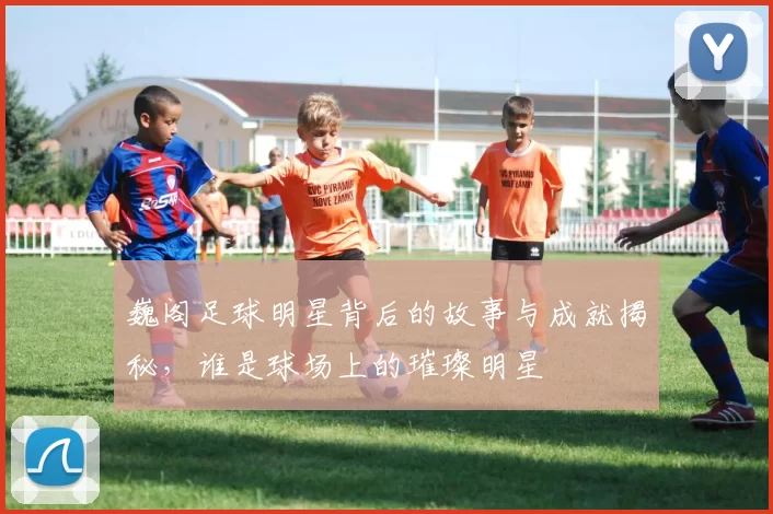 巍阁足球明星背后的故事与成就揭秘，谁是球场上的璀璨明星