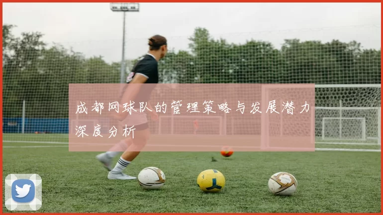 成都网球队的管理策略与发展潜力深度分析