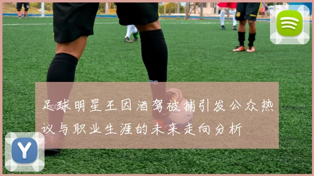 足球明星王因酒驾被捕引发公众热议与职业生涯的未来走向分析
