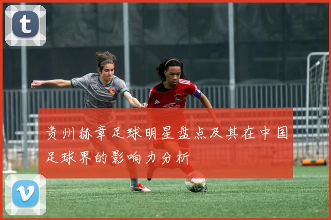 贵州赫章足球明星盘点及其在中国足球界的影响力分析