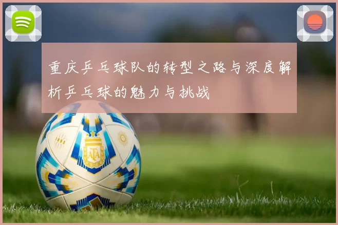 重庆乒乓球队的转型之路与深度解析乒乓球的魅力与挑战