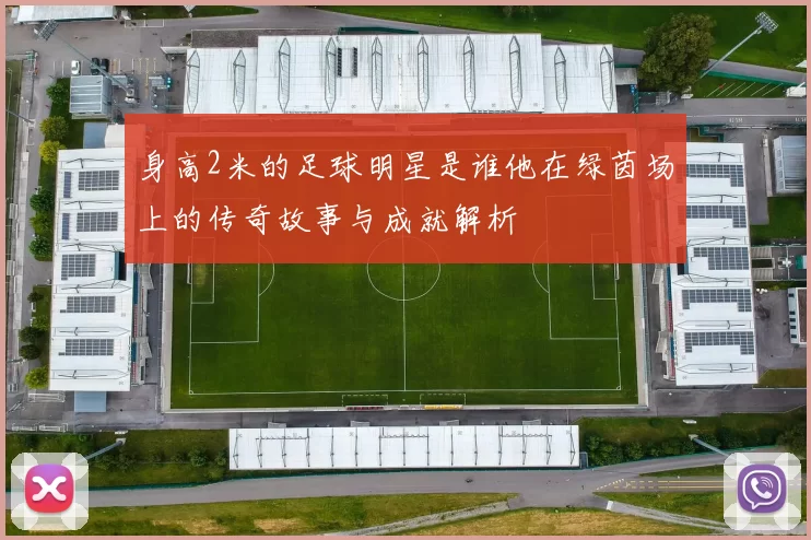 身高2米的足球明星是谁他在绿茵场上的传奇故事与成就解析