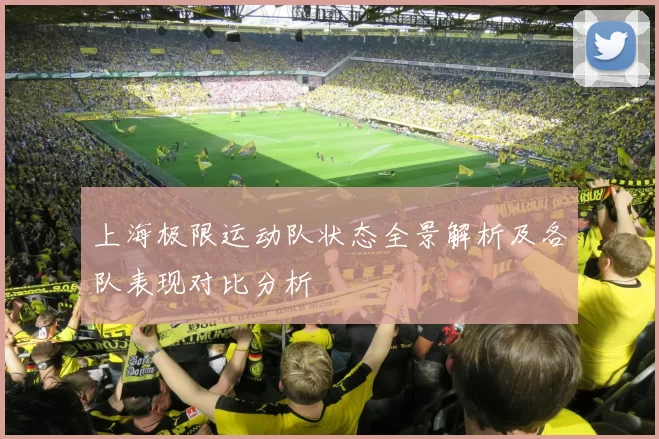 上海极限运动队状态全景解析及各队表现对比分析