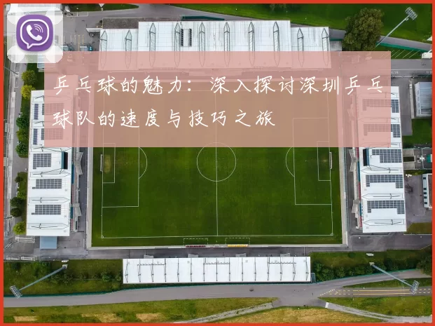 乒乓球的魅力：深入探讨深圳乒乓球队的速度与技巧之旅
