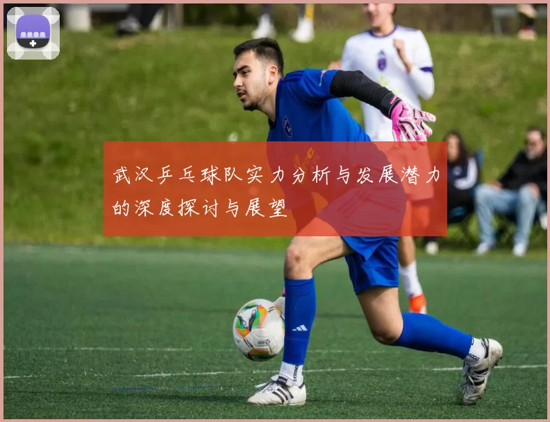 武汉乒乓球队实力分析与发展潜力的深度探讨与展望