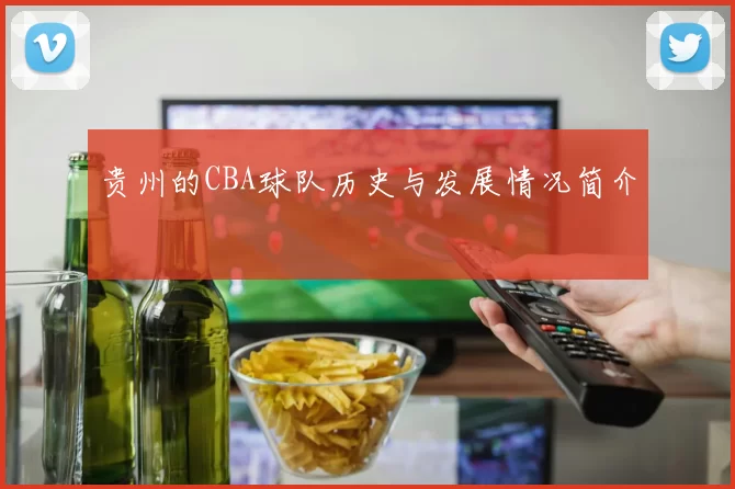 贵州的CBA球队历史与发展情况简介