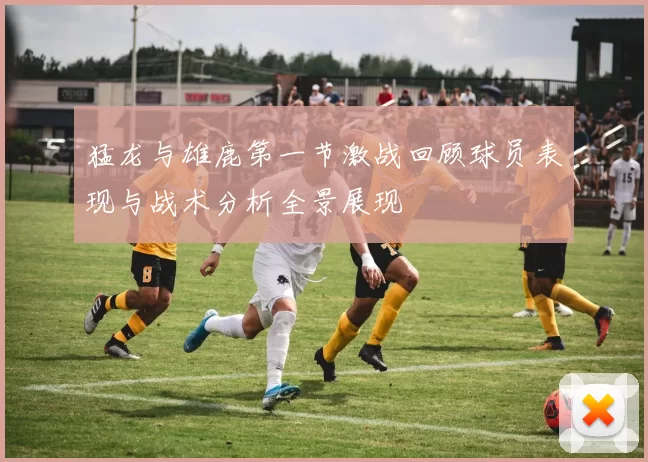 猛龙与雄鹿第一节激战回顾球员表现与战术分析全景展现