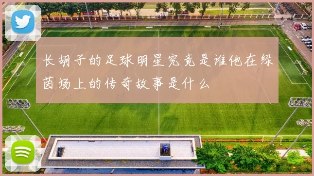 长胡子的足球明星究竟是谁他在绿茵场上的传奇故事是什么