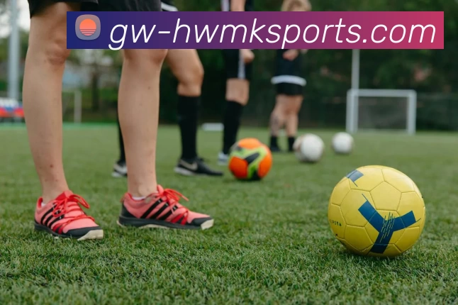 mk体育平台生态图